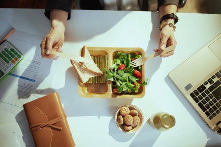 Téléchargez les photos : Un lieu de travail durable. Vue supérieure de la comptable femme dans le bureau vert avec ordinateur portable manger salade. - en image libre de droit