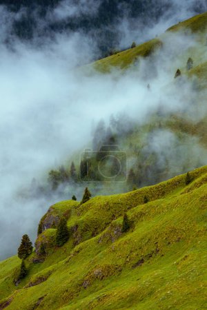 Foto de Hora de verano en Dolomitas. paisaje con colinas, árboles y niebla. - Imagen libre de derechos