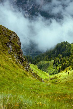 Foto de Hora de verano en Dolomitas. paisaje con montañas, colinas, hierba, rocas, árboles y niebla. - Imagen libre de derechos