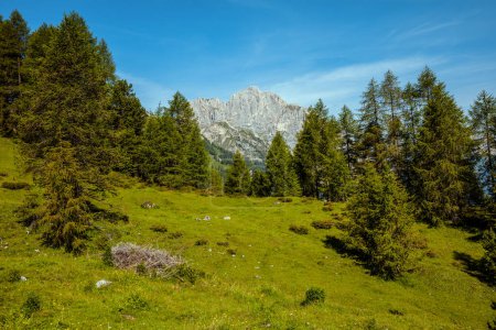 Téléchargez les photos : Heure d'été dans les Dolomites. paysage avec montagnes, prés et arbres. - en image libre de droit