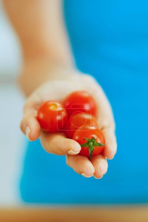 Foto de Primer plano del tomate cherry en la mano de la mujer - Imagen libre de derechos
