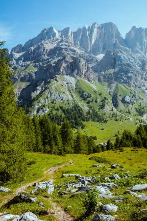 Photo for Summer time in Dolomites. landscape with mountains, rocks, trees and trail. - Royalty Free Image