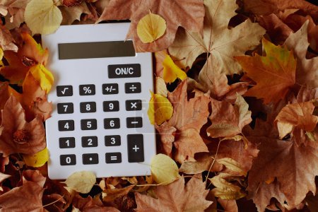 Photo for Autumn background with calculator and leaves. - Royalty Free Image