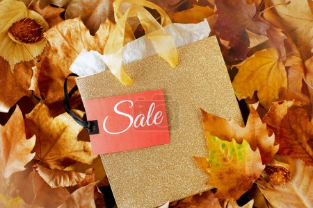 Photo for Autumn flat lay with shopping bag, sale tag and leaves. - Royalty Free Image