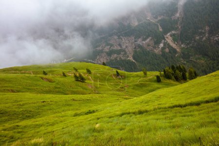 Téléchargez les photos : Heure d'été dans les Dolomites. paysage avec collines, herbe, arbres et brouillard. - en image libre de droit