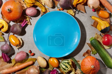 Photo for Autumn flat lay on a grey background with pumpkins, beetroot, autumn leaves, autumn leaf, plate and autumn vegetables. - Royalty Free Image