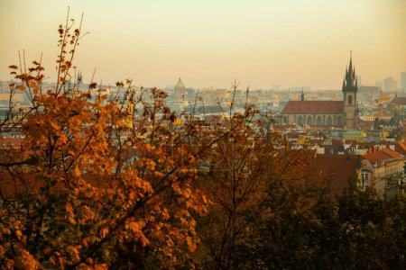 Téléchargez les photos : Panorama paysage avec l'église de notre dame avant tyn dans la soirée tirée à travers le feuillage en automne à Prague, République tchèque. - en image libre de droit