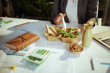 Téléchargez les photos : Un lieu de travail durable. Gros plan sur comptable femme dans le bureau vert avec ordinateur portable manger de la salade. - en image libre de droit