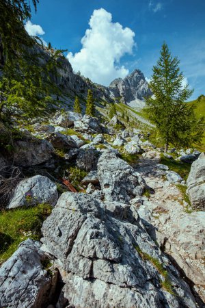 Téléchargez les photos : Heure d'été dans les Dolomites. paysage avec montagnes, nuages, rochers et arbres. - en image libre de droit