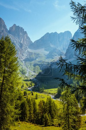 Photo for Summer time in Dolomites. landscape with mountains and trees. - Royalty Free Image