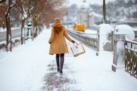 Foto de Visto desde atrás mujer en sombrero marrón y bufanda en abrigo de camello con bolsas de compras afuera en la ciudad en invierno. - Imagen libre de derechos