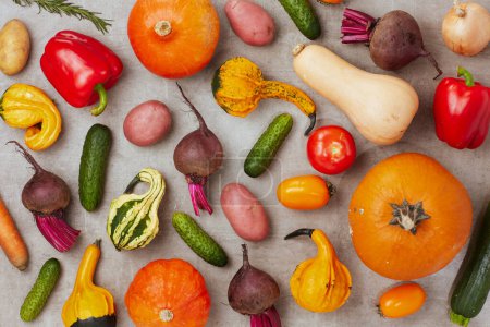 Photo for Autumn flat lay on a grey background with pumpkins, beetroot, autumn leaf and autumn vegetables. - Royalty Free Image
