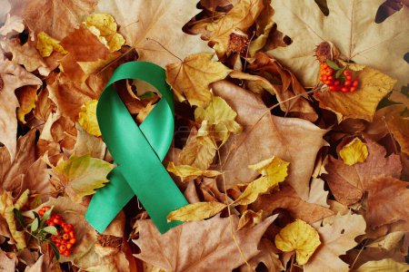 Téléchargez les photos : Plat d'automne avec ruban de jour de santé mentale, pyracantha et feuilles. - en image libre de droit