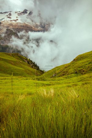 Foto de Hora de verano en Dolomitas. paisaje con montañas, hierba y niebla. - Imagen libre de derechos