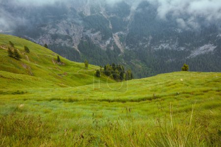 Foto de Hora de verano en Dolomitas. paisaje con montañas, colinas, prados, árboles y niebla. - Imagen libre de derechos