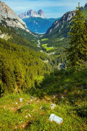 Téléchargez les photos : Heure d'été dans les Dolomites. paysage avec montagnes et forêt. - en image libre de droit