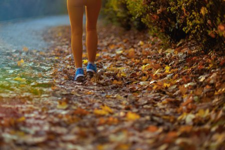 Téléchargez les photos : Bonjour l'automne. Gros plan sur la femme en vêtements de fitness dans le parc jogging. - en image libre de droit