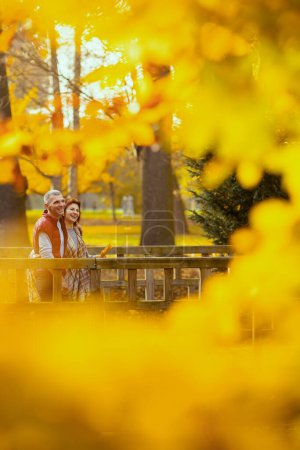 Téléchargez les photos : Bonjour l'automne. couple moderne souriant dans le parc marchant sur le pont. - en image libre de droit