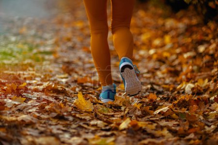 Photo for Hello autumn. Closeup on female in fitness clothes in the park jogging. - Royalty Free Image