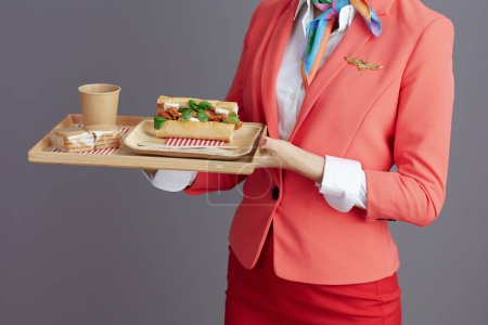 Photo for Closeup on modern flight attendant asian woman in red skirt, jacket and hat uniform with a tray of food isolated on gray. - Royalty Free Image