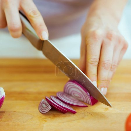 Photo for Closeup on woman cutting red onion - Royalty Free Image