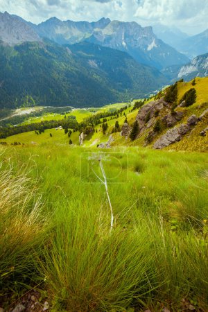 Téléchargez les photos : Heure d'été dans les Dolomites. paysage avec montagnes, collines, nuages et herbe. - en image libre de droit