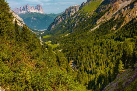 Photo for Summer time in Dolomites. landscape with mountains and forest. - Royalty Free Image