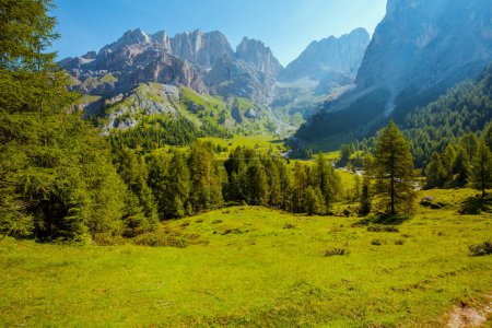 Téléchargez les photos : Heure d'été dans les Dolomites. paysage avec montagnes, prés et arbres. - en image libre de droit