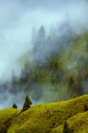 Téléchargez les photos : Heure d'été dans les Dolomites. paysage avec collines, arbres et brouillard. - en image libre de droit