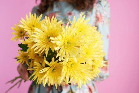 Foto de Primer plano en mujer de mediana edad con flores de crisantemos amarillos aisladas sobre fondo rosa. - Imagen libre de derechos
