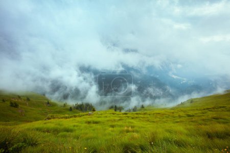 Foto de Hora de verano en Dolomitas. paisaje con colinas, hierba y niebla. - Imagen libre de derechos
