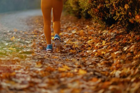 Photo for Hello autumn. Closeup on female in fitness clothes in the park running. - Royalty Free Image