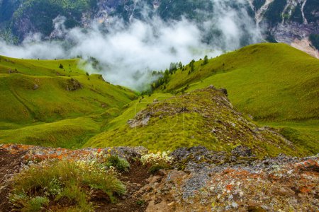 Photo for Summer time in Dolomites. landscape with hills, rocks, trees and fog. - Royalty Free Image