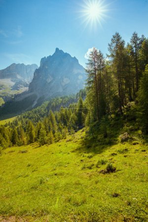 Foto de Hora de verano en Dolomitas. paisaje con montañas, prados y árboles. - Imagen libre de derechos