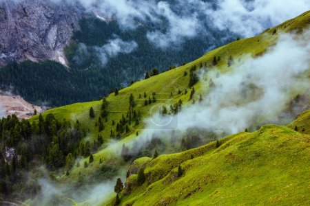 Summer time in Dolomites. landscape with mountains, hills, trees and fog.