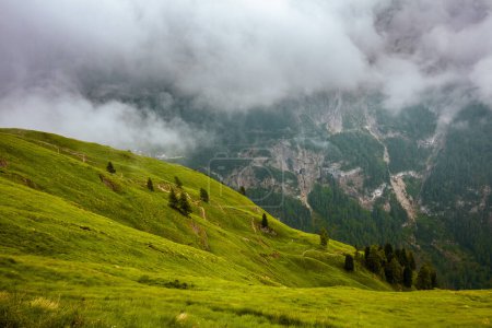 Téléchargez les photos : Heure d'été dans les Dolomites. paysage avec montagnes, collines, herbe, arbres et brouillard. - en image libre de droit