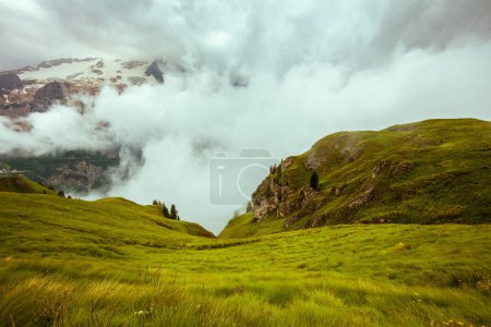 Téléchargez les photos : Heure d'été dans les Dolomites. paysage avec herbe et brouillard. - en image libre de droit