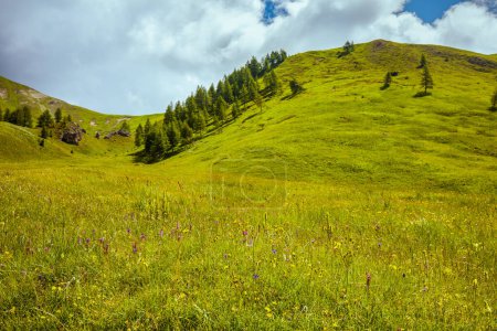 Téléchargez les photos : Heure d'été dans les Dolomites. paysage avec collines, nuages, prés et arbres. - en image libre de droit