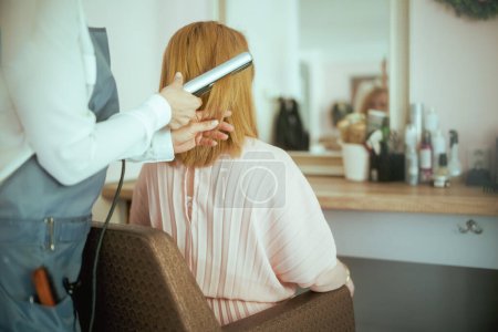 Téléchargez les photos : Vu de derrière femme coiffeur dans le salon de beauté moderne avec lisseur de cheveux et client. - en image libre de droit