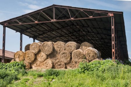 Entreposage du foin pour la protection des balles récoltées dans une grande ferme en été