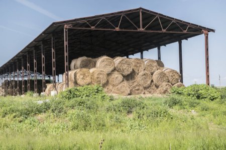 Hay storage for protection harvested bales in big farm in summer