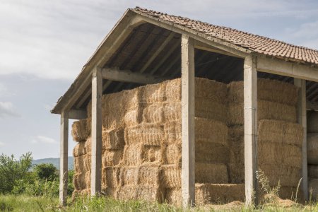 Almacenamiento de heno para la protección de fardos cosechados en granjas grandes en verano