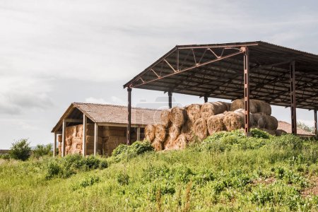 Entreposage du foin pour la protection des balles récoltées dans une grande ferme en été