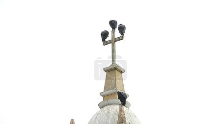 Foto de Buitre pájaro o gallinazo descansando encima de una iglesia. Perú, América del Sur - Imagen libre de derechos