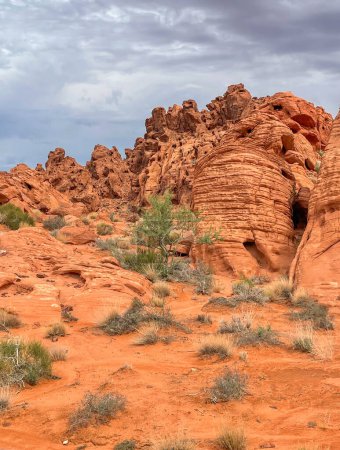 Foto de Montañas del cañón de roca roja en el valle del parque estatal de fuego - Imagen libre de derechos