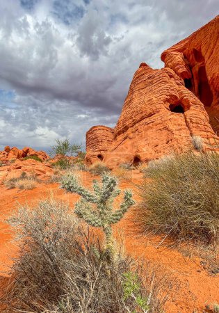Foto de Los hermosos acantilados de piedra arenisca roja del moab en utah - Imagen libre de derechos