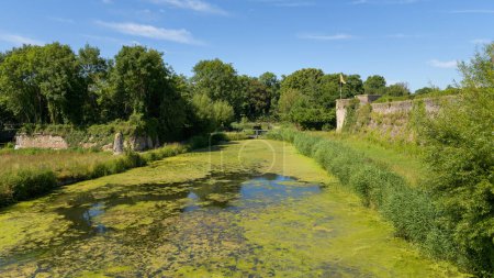 Téléchargez les photos : A pond with aquatic plants and trees around it, summer, blue sky, Bergues (France) - en image libre de droit