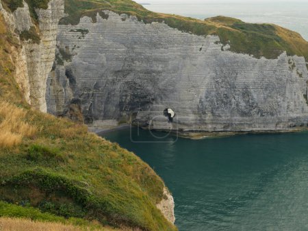 Photo for Chalk cliffs of Etretat (Normandy France) on a sunny day in summer - Royalty Free Image