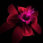 A fantastic image of a rendered fractal flower on a dark background