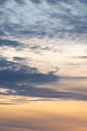 Vertical photograph of a blue sky with gentle light clouds. Everything is illuminated by the light of the sun at sunset.